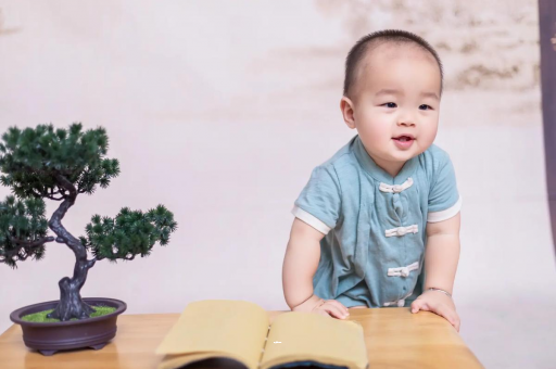 沁阳可爱的企鹅宝宝